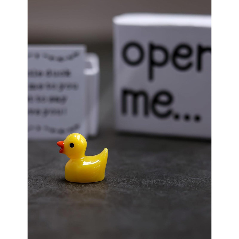 I Love You Gift Duck Gift Boîte-cadeau pour la Saint-Valentin
