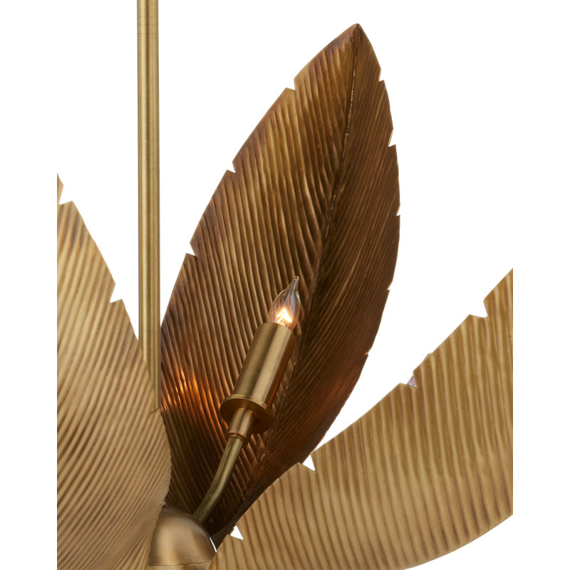 Bird Of Paradise 6 - Light Chandelier