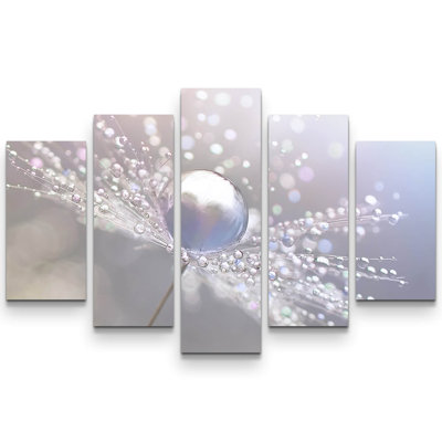 5-tlg. Leinwandbilder-Set Pusteblume mit Wassertropfen