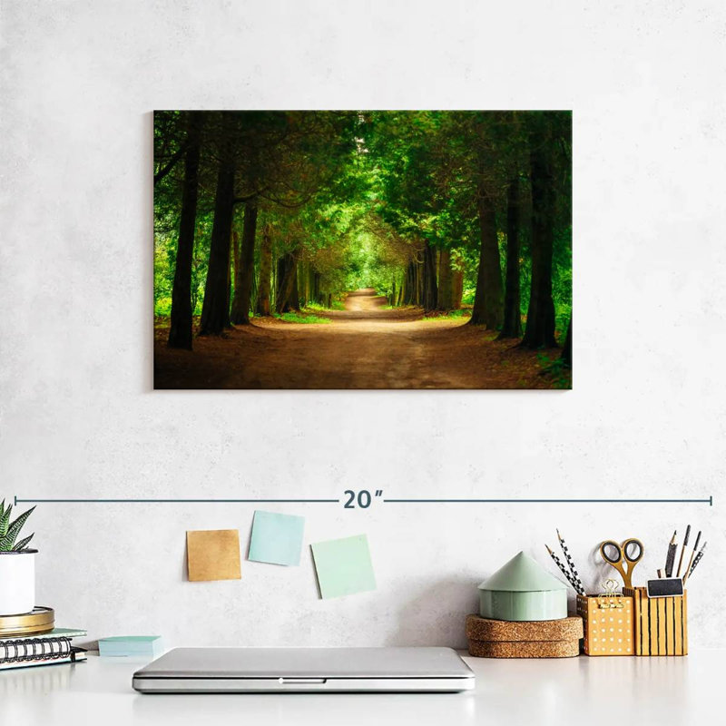 Sireci Park Tunnel Trees, 8" H x 12" W