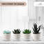 14 cm H Faux Bonsai Succulent Plant-1369708914