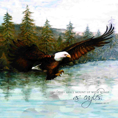 " Wings As Eagles "