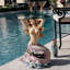Mermaid of Magellan's Cove Glass Side Table