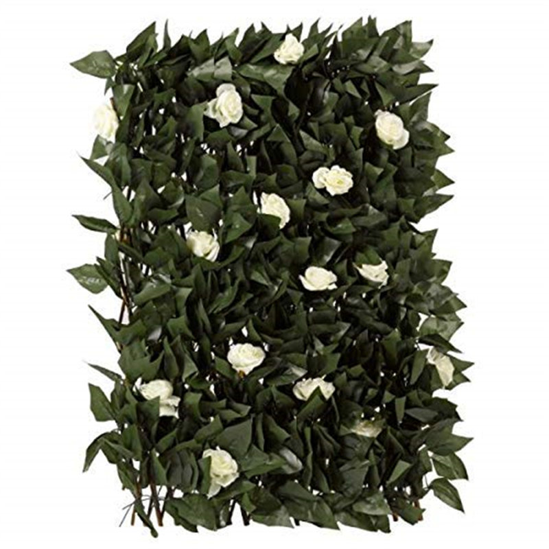 Novosel Wood Expanding Trellis, 180cm H x 60cm W x 3cm D