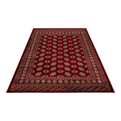 Ariana Oriental Area Rug