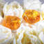 Persimmon Good Things Come in Pairs Sculpture