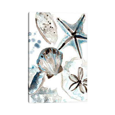 Cerulean Seashells I by June Erica Vess - Wrapped Canvas Painting