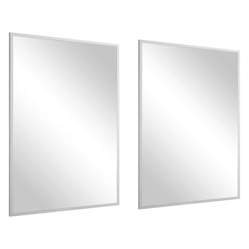Emma 24"W 36H Bathroom Wall Mirror, Silver