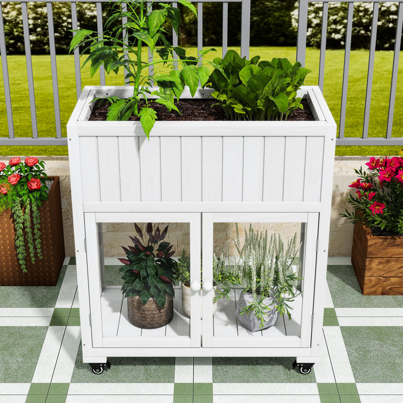 Wood Mini Cold Frame Greenhouse with Raised Bed, Polycarbonate Doors and Removable Wheels, White