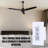 Doyle 3 - Blade Propeller Ceiling Fan-484580212-404105194