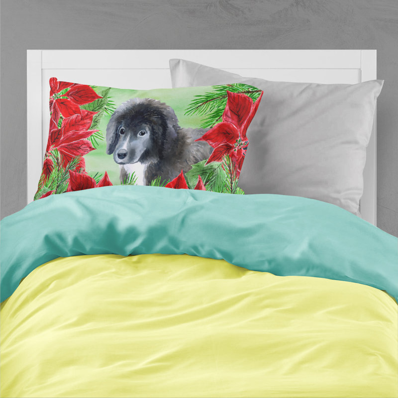 Microfiber, Newfoundland Puppy