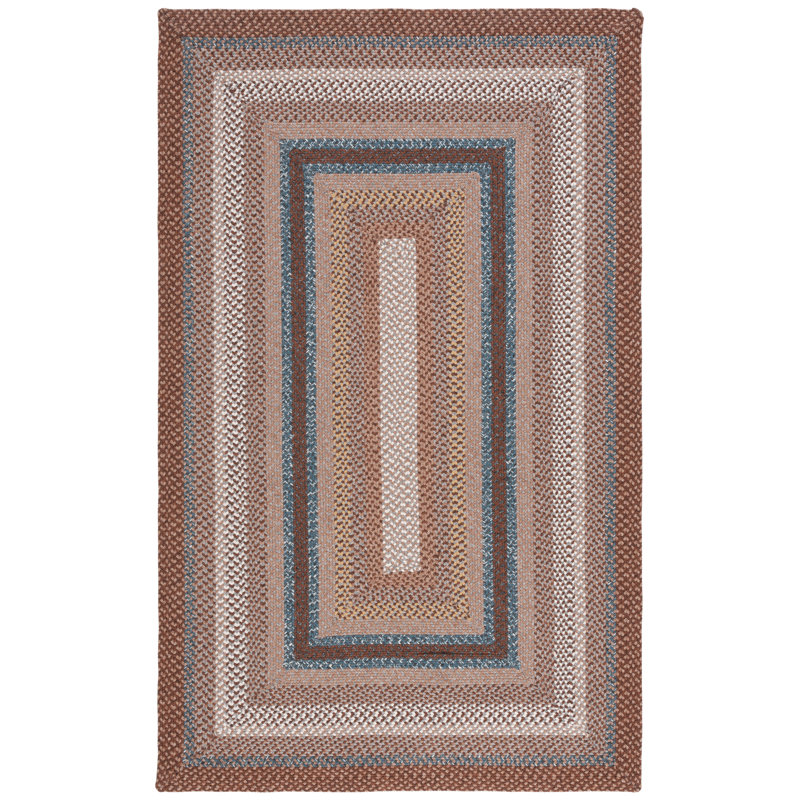 Liptak Braided Hand Woven Performance Machine Washable Geometric Indoor/Outdoor Area Rug, Rectangle 4' x 6'