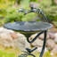 Bain d'oiseaux Friedewald-644874593