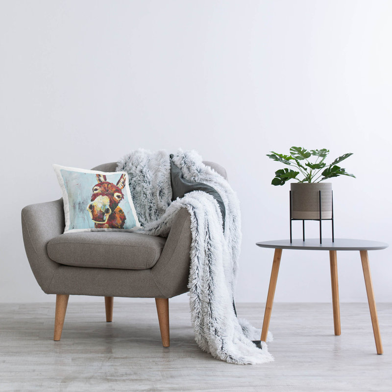 Throw Pillow