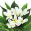 Plumeria artificiel 27 po en pot