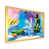 Gold Picture Framed Canvas