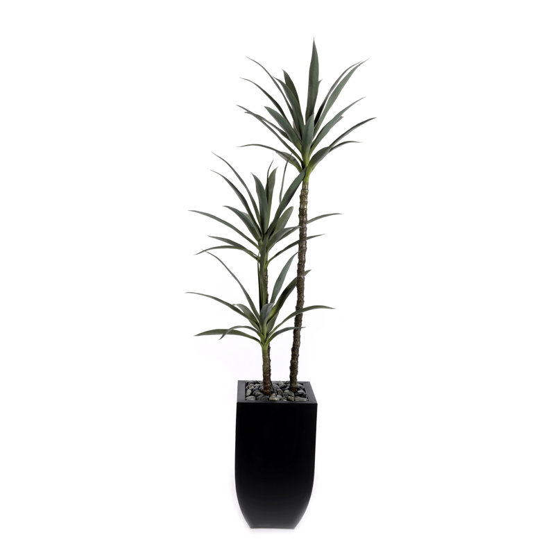Yucca artificiel 71 po avec cailloux en étain noir 71 po, H 71 po x l 26 po x P 22 po