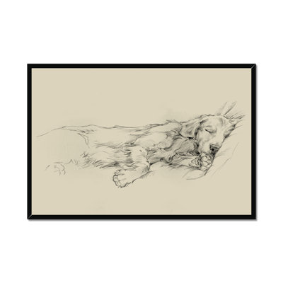 Dog Days III 1 Piece Wall Art