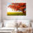 Harnek Autumn Oak Tree-107699203