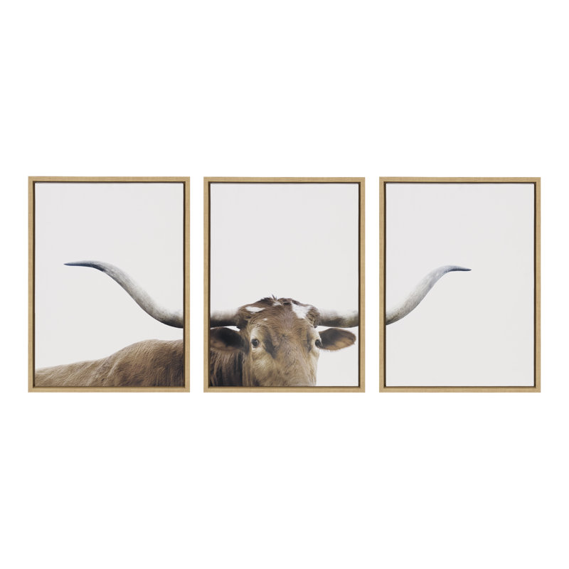 Sylvie Texas Longhorn 1 2 3 Framed Canvas by The Creative Bunch Studio 3 Piece 18x24 Natural