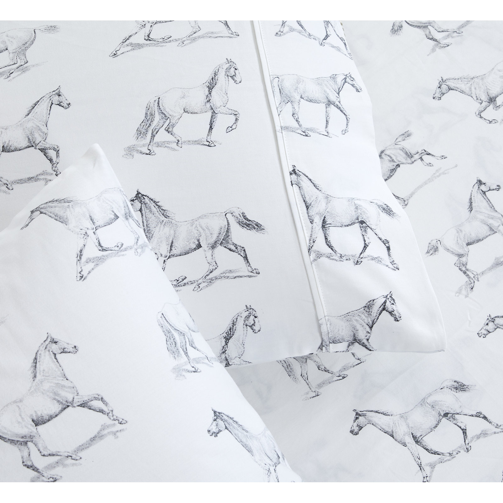 Avalea Cotton Sheet Set, King