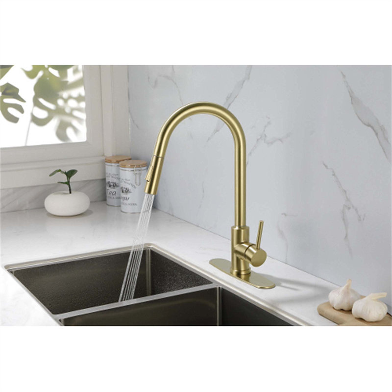 Red Cloud Pull Down Kitchen Faucet