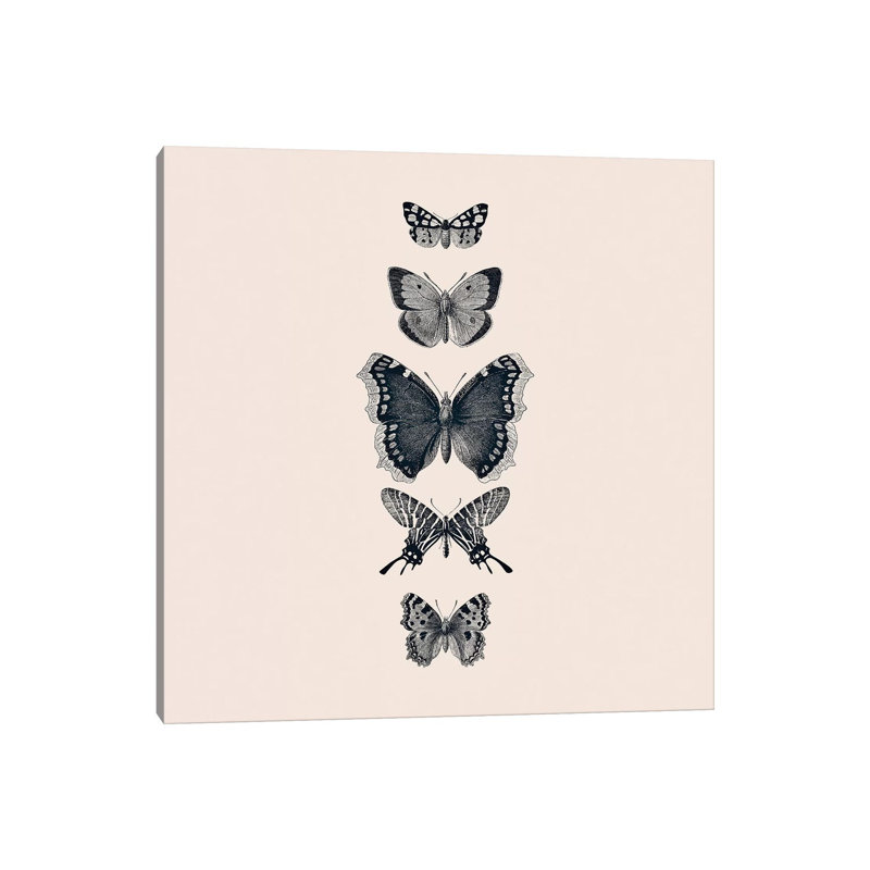 Inked Butterflies Beige Square by Monika Strigel - Wrapped Canvas Print, 93.98 cm H x 93.98 cm W x 1.91 cm D