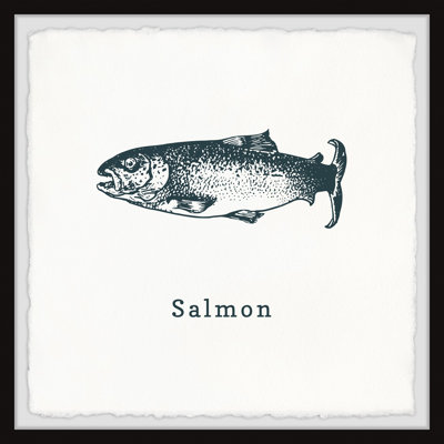 Wallsend Salmon And Cod A by Marmont Hill - Single Picture Frame Print