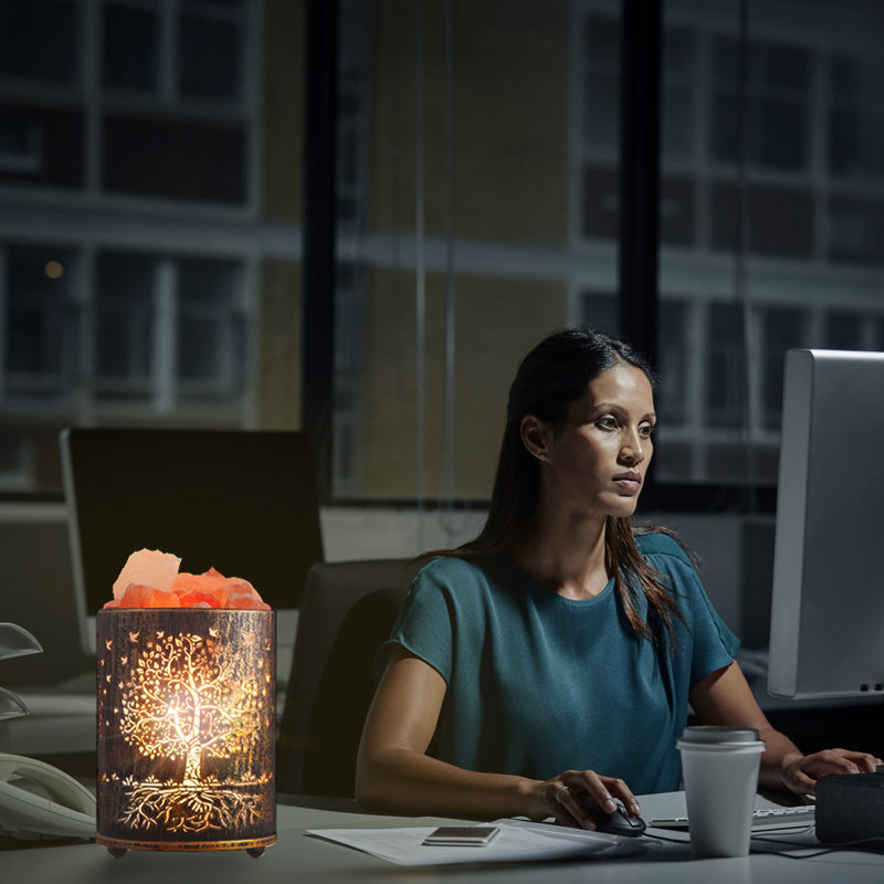 Lampe à sel VanVleet Himalayan 3,32 lb