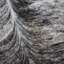 Cowhide Rug Exotic