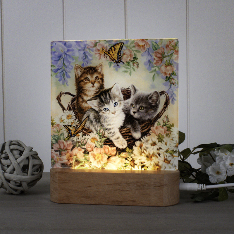 Kittens in the Garden Night Light
