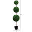 Topiaire de faux buis en pot-941996726