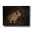  «Resting Bunny Rabbit 1» par Marian Parsons, art mural sur toile, 54 po x 40 po