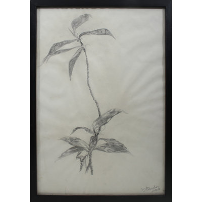 Feuilles, peinture graphite | Graphite sur Canson | Par Deepa Kushwaha | Avec cadre