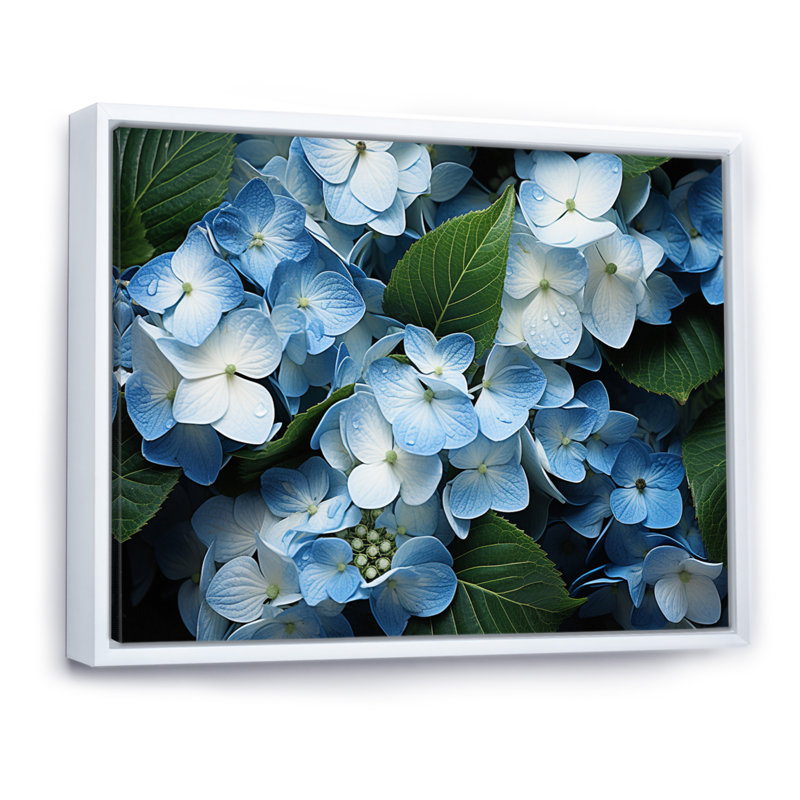 «Blue Hydrangea Field», vue aérienne sur toile, Cadre flottant blanc, H 34 po x l 44 po x P 1,5 po