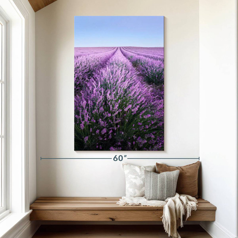 Lavande française Alvord Provence, H 51 po x l 34 po