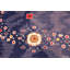 One-of-a-Kind 9'10" Hand Knotted Area Rug