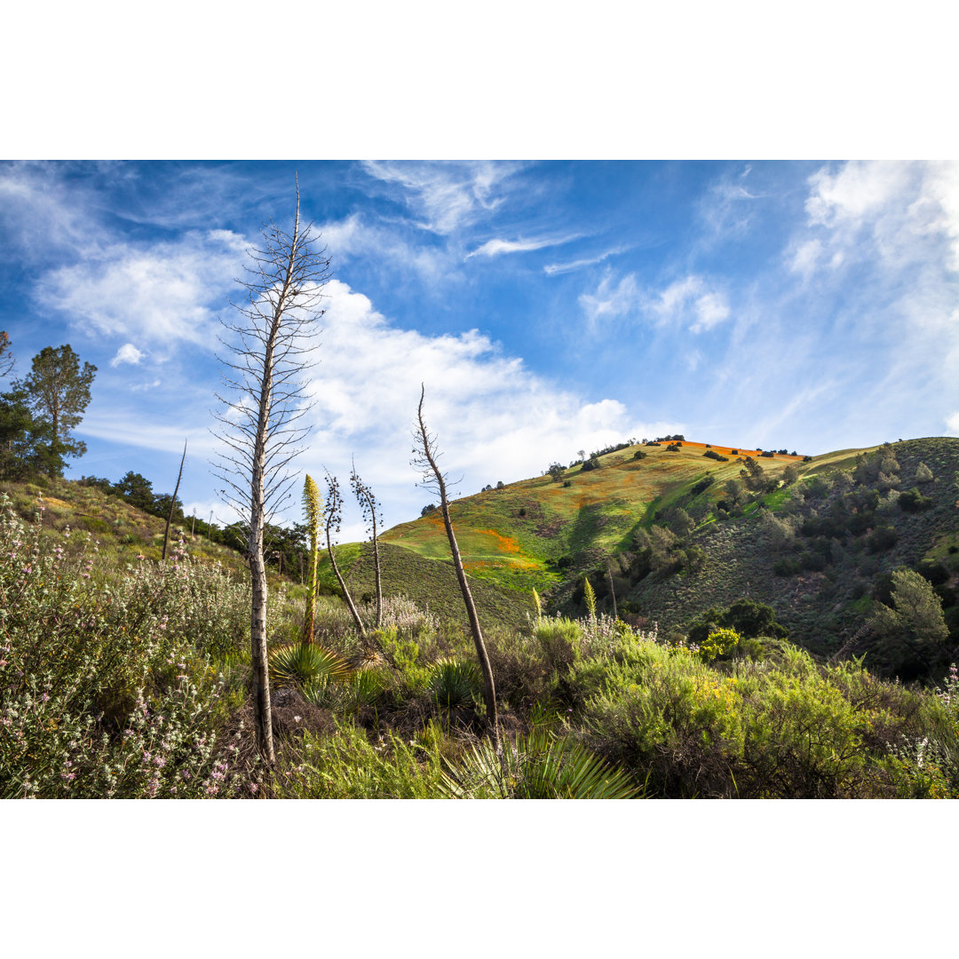 Grass Mountain von GaryKavanagh - Leinwandbild