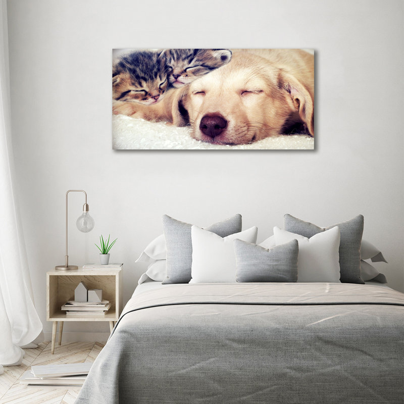 Puppy And Cats - Wrapped Canvas Print