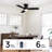 32'' Small Ceiling Fan With Led Lights & Remote Control