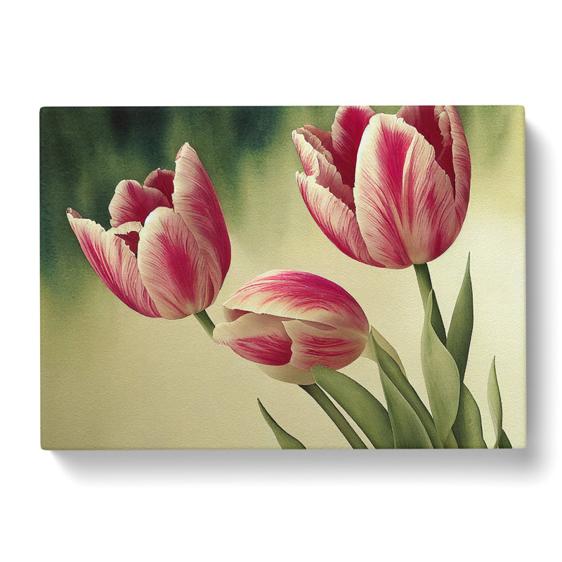 Spectacular Tulip Flowers - Wrapped Canvas, 35cm H x 50cm W x 3cm D