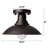 Ceiling Light Fixture