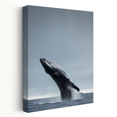 40 Ton - Photography Animals Ocean Whales Art