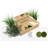 Cloud 9 - Artificial Plant Kit