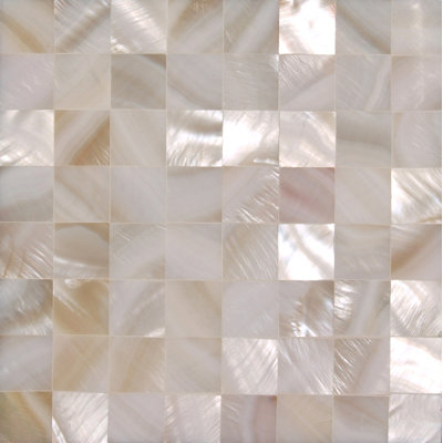 4'' x 4'' Natural Shell Listello