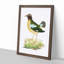 Green Crow by George Shaw - Framed Print-55620729-55620731