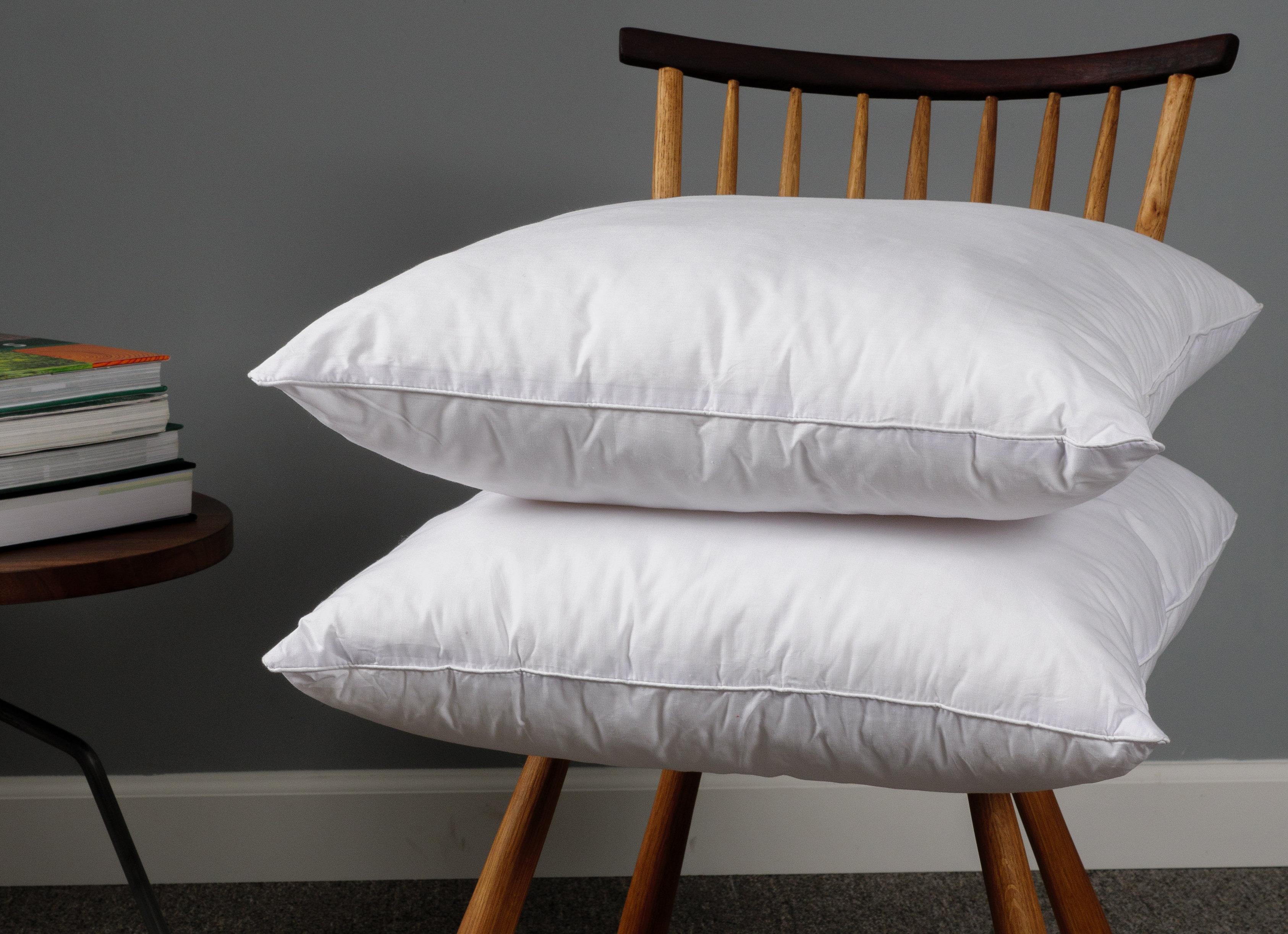 Wayfair Basics® Didomenico Euro Square Pillow Insert & Reviews | Wayfair