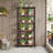 Linsly 70.9'' H X 27.55'' W Etagere Bookcase