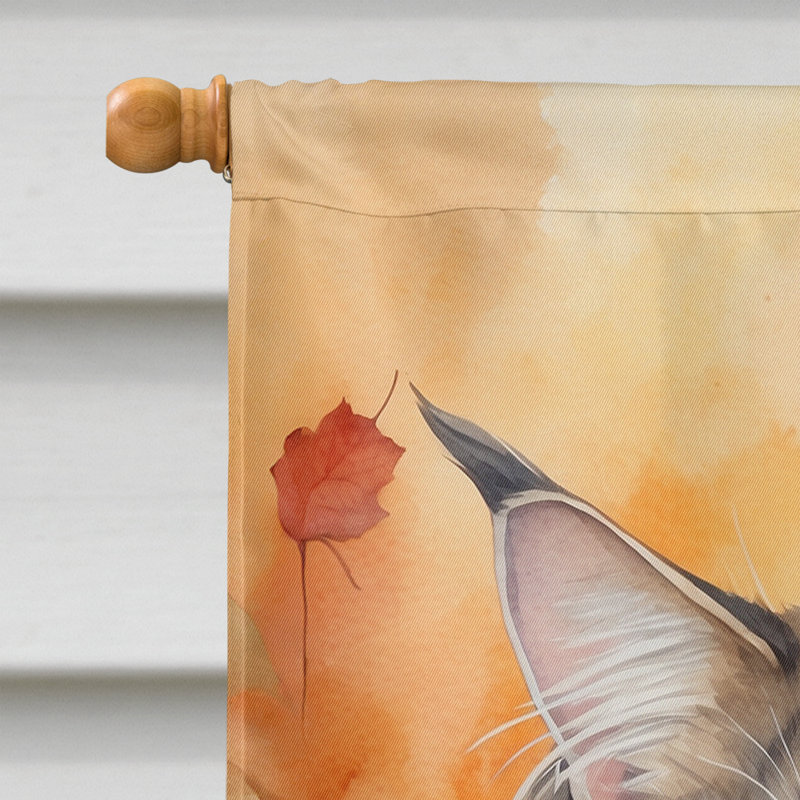 Chat en feuilles d'automne, MaineCoon