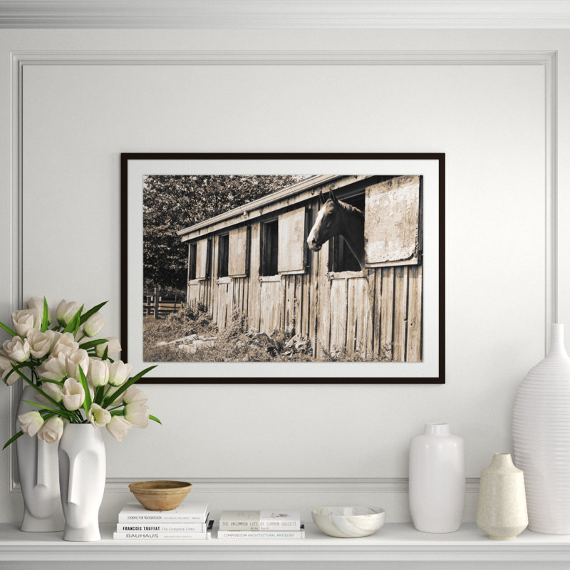 Barn Horse' Framed Photographic Print on Glass, 29.75" H x 41.75" W x 1.25" D, Espresso Framed
